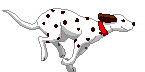 Dalmatian Running Animation